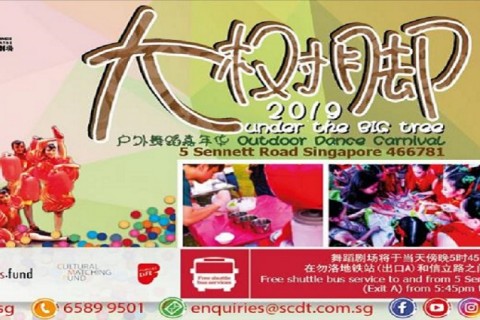 2019 大树脚 Under The BIG Tree