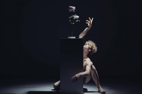 IMAGO