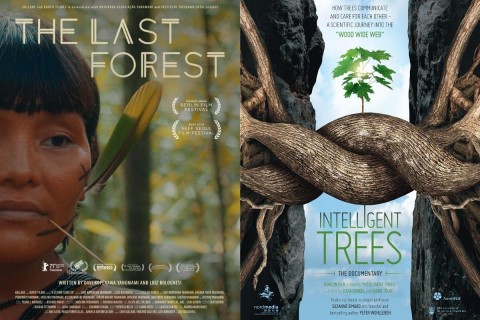 Double Bill! Film Friday: Intelligent Trees and The Last Forest