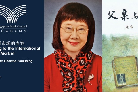 Adapting for the International Chinese Market