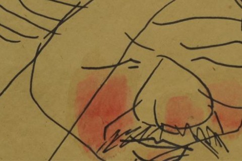 Points of Entry: The Mediating Gaze: Curatorial Insights