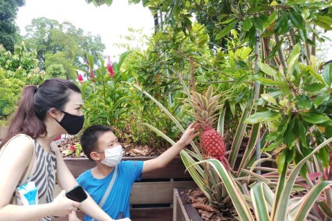 Sensory trail at Fort Canning Park
