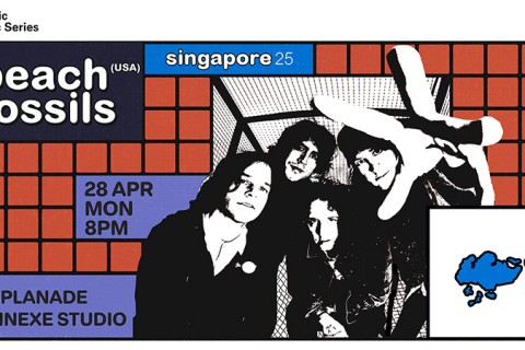 Mosaic Music Series: Beach Fossils