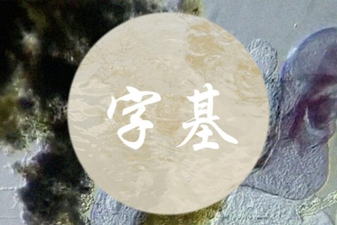 Boedi Widjaja: Immortal Words :: 字基