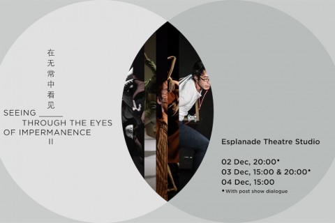 Seeing ______ Through the Eyes of Impermanence II