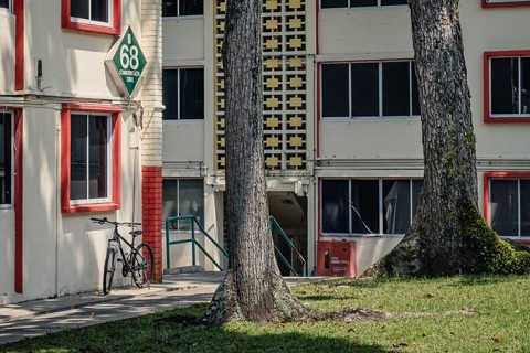 Guided Photowalk: Discover Tanglin Halt & Wessex Estate 