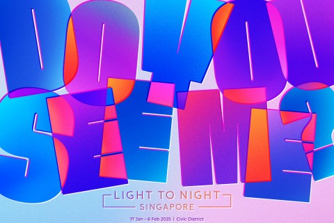 Light to Night Singapore 2025