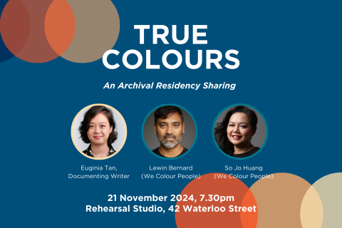 True Colours: An Archival Residency Sharing