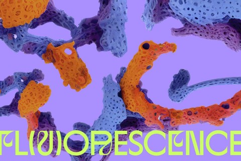 FL(U)ORESCENCE​