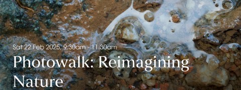 Photowalk: Reimagining Nature