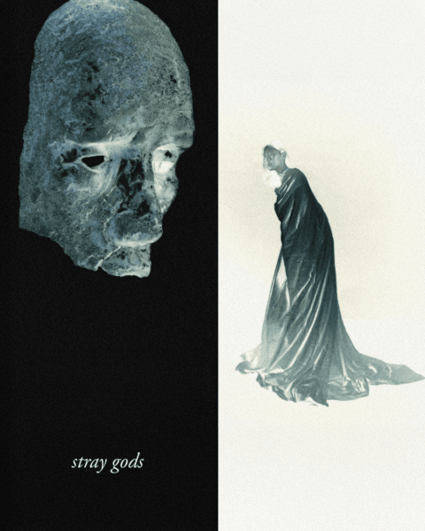 stray gods
