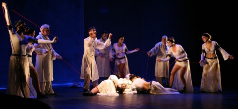 “The Director & Play” Study Program