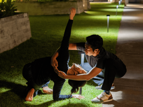 Wild Moves: Embodied Landscapes