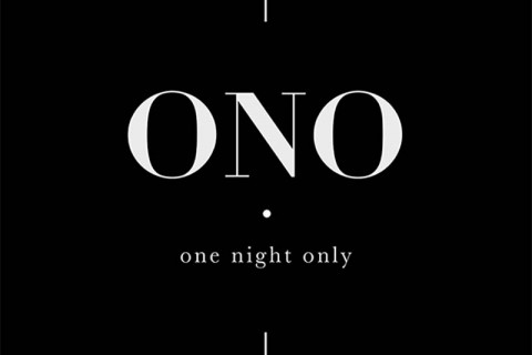 One Night Only