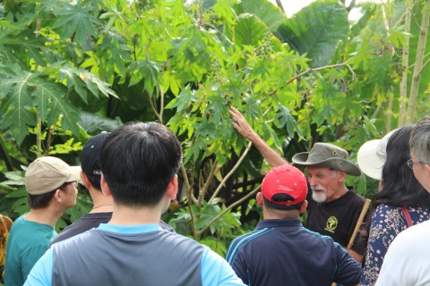 Surviving against Shortage in World War Two: A Singaporean Tale