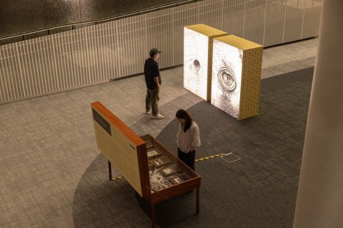 Robert Zhao Renhui: 5 Albizias