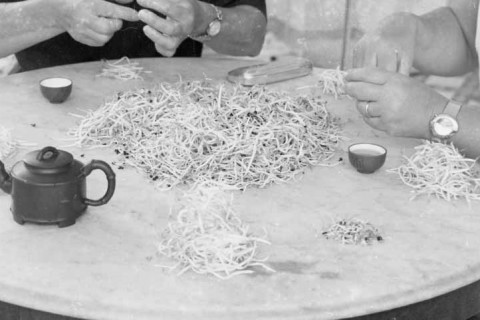 Let's Chat by Amanda Heng