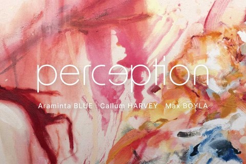 Art Works - Perception Exhibition 