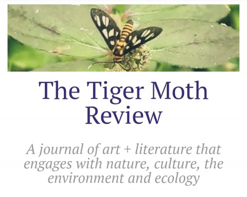 Call for submissions for The Tiger Moth Review, a new journal of art + lit
