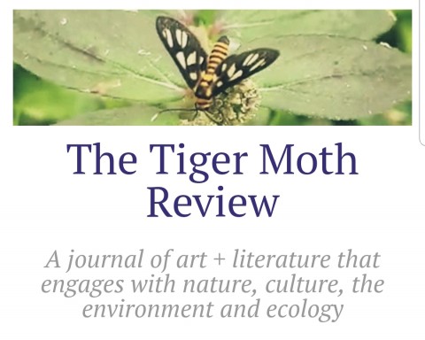Call for Submissions: The Tiger Moth Review, Issue 2