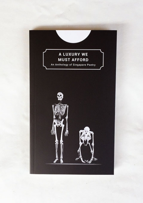  A Luxury We Must Afford — Launch