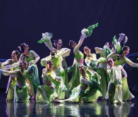 Revelry in Spring