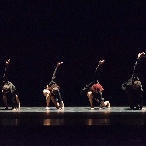 Acosta Danza