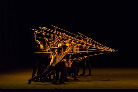 Forces of Dance