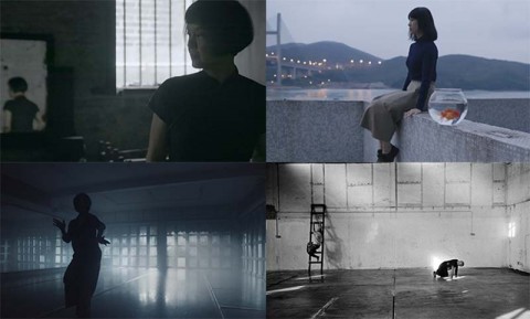 Cineda:ns – Hybrid Motion (2019)
