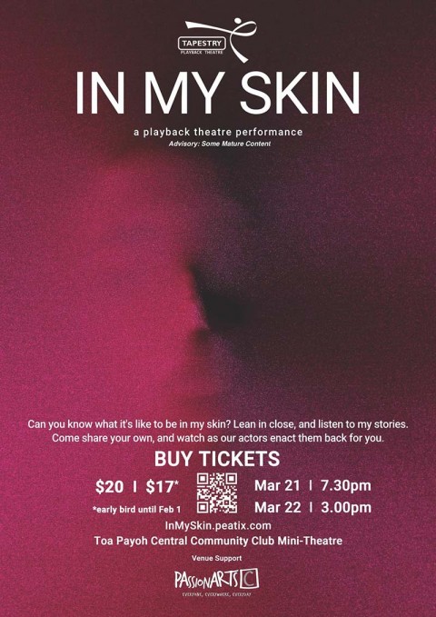 In My Skin - a Playback Theatre performance