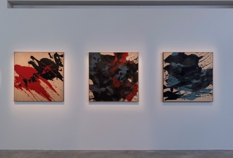 Ho Ho Ying: The Path I Pursue 《何和应：我追逐的路》