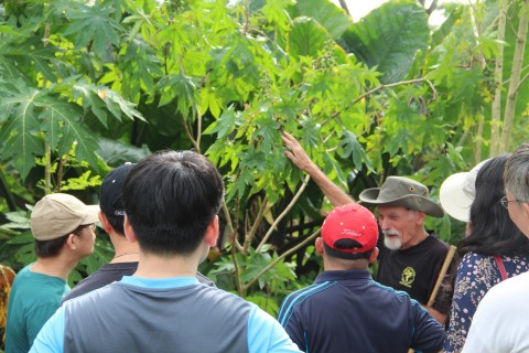 Surviving against Shortage in World War Two: A Singaporean Tale