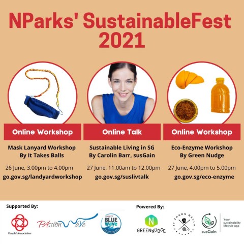 Sustainable Living in SG (Online Talk) susGain 