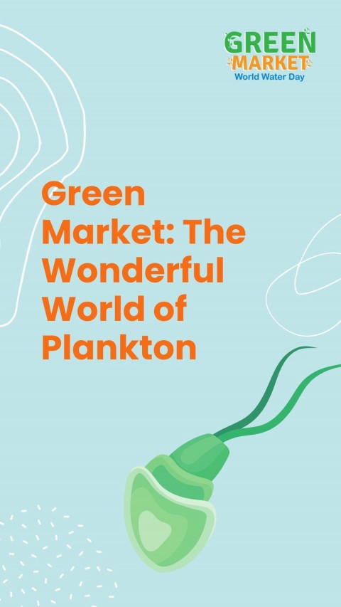 Green Market: The Wonderful World of Plankton