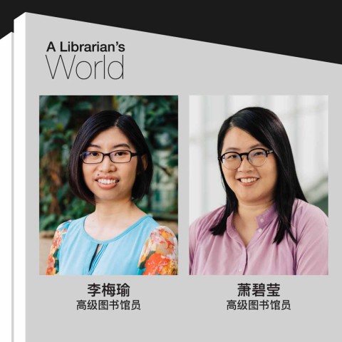 A Librarian’s World: The Singapore Chinese Community During the Japanese Occupation