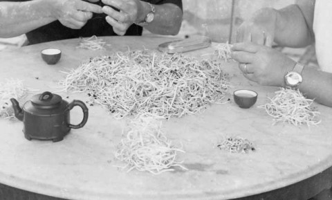 Let's Chat by Amanda Heng