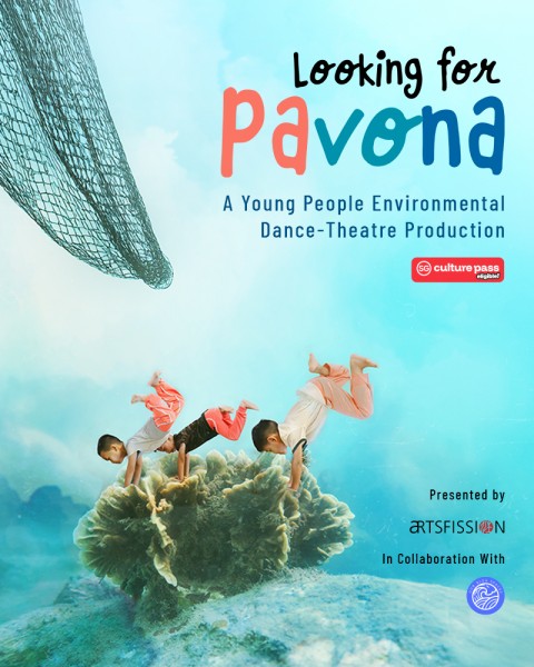 Looking for Pavona