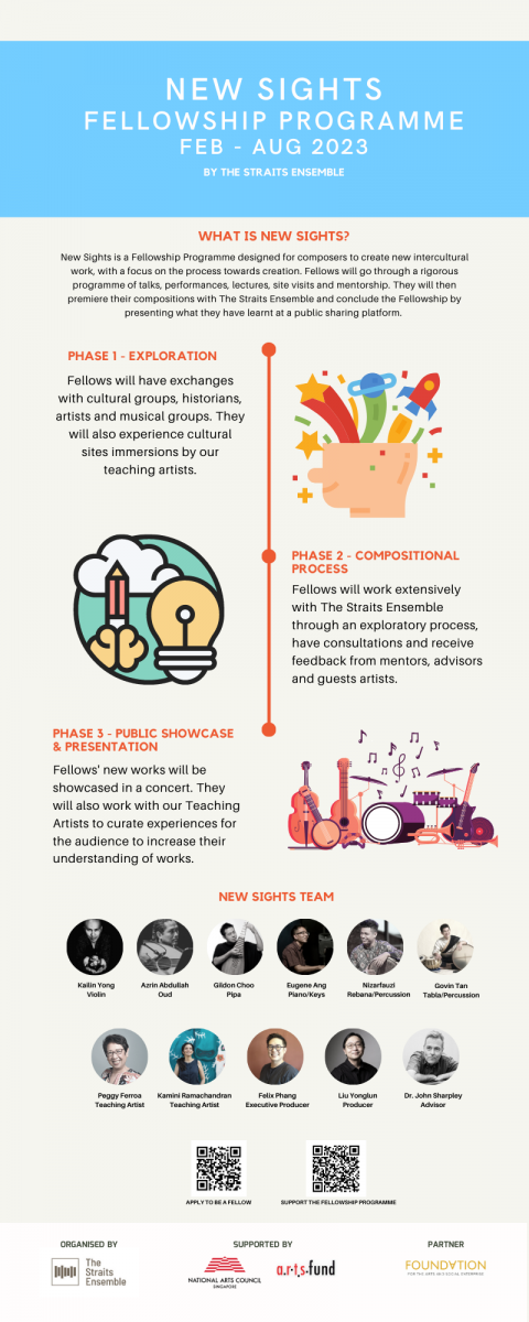 New Sights Fellowship Programme