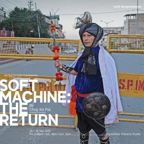 SoftMachine: The Return