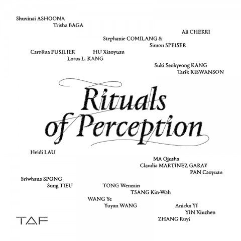 Rituals of Perception
