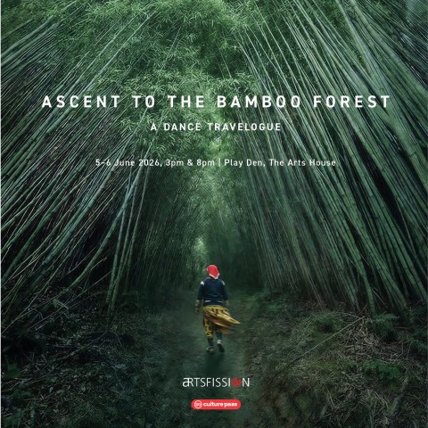 Ascent to the Bamboo Forest – A Dance Travelogue