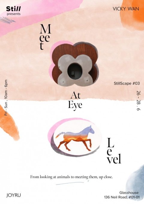 Meet at Eye Level