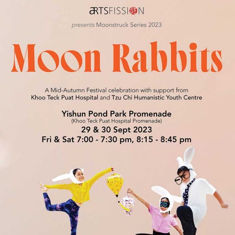 Moon Rabbits