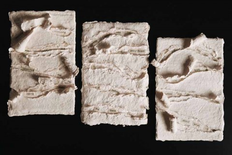 Papermaking Class: Pulp Manipulation with Text