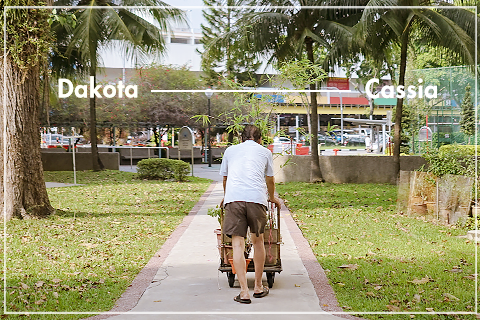 They Told Us To Move - Conversations on Relocation