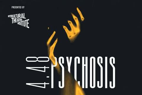 4.48 Psychosis 