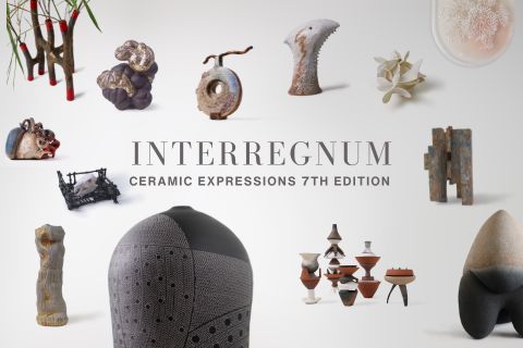Ceramic Expressions 7th Edition: Interregnum