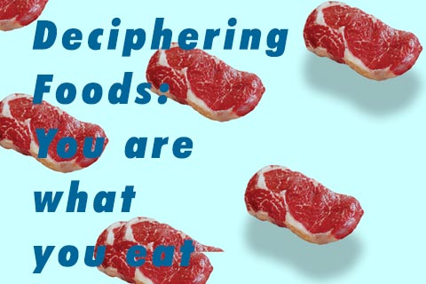 Deciphering Food: You are what you eat