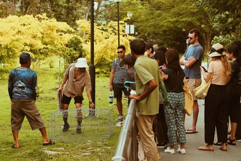Turning Tides: A walk & conversation with Singapore’s coastal natives