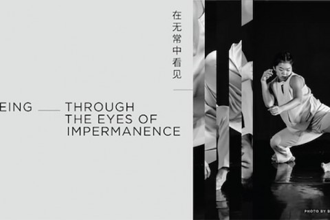 Seeing ______ Through the Eyes of Impermanence
